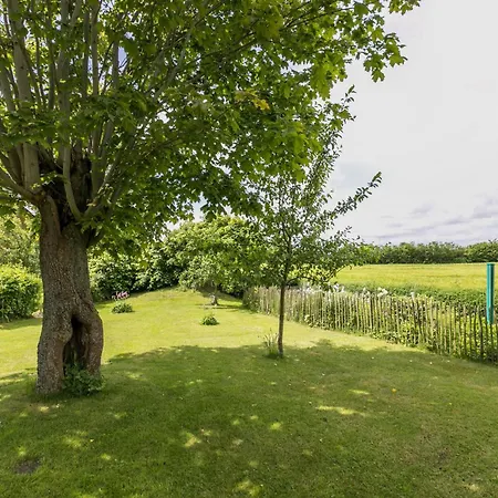 Alter Heuboden 아파트 *